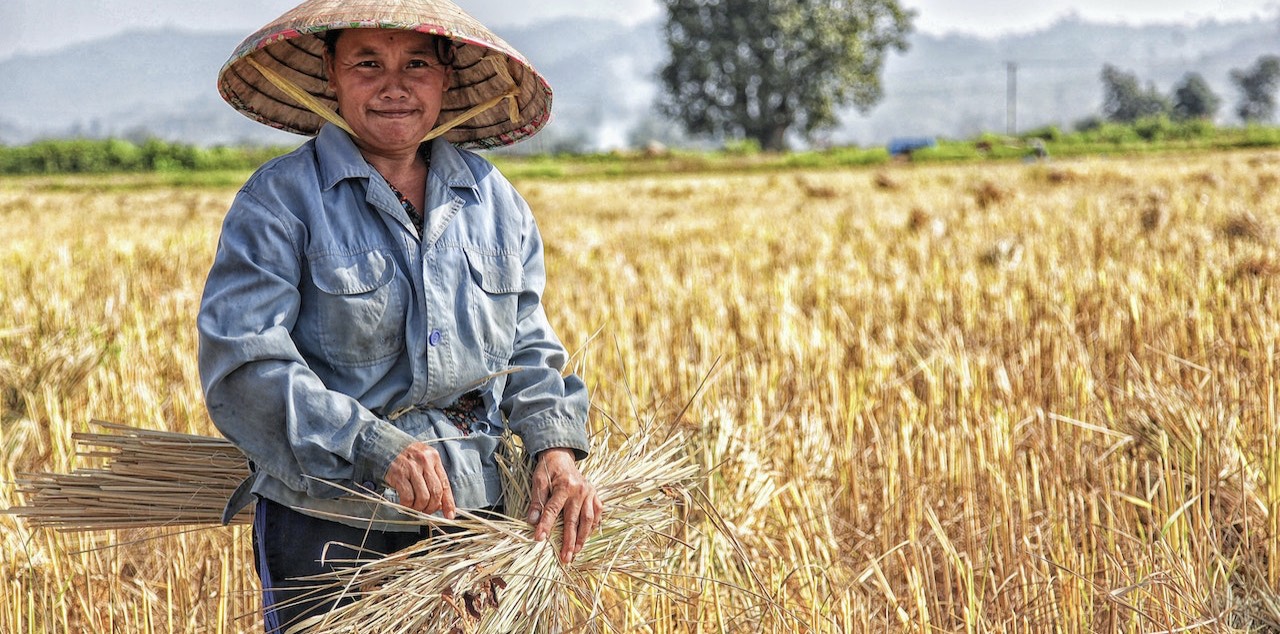 pexels dodo-phanthamaly-916406